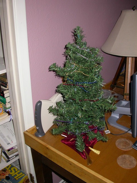 Brenda has a tree by the computer.