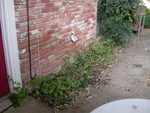 DSCN1437